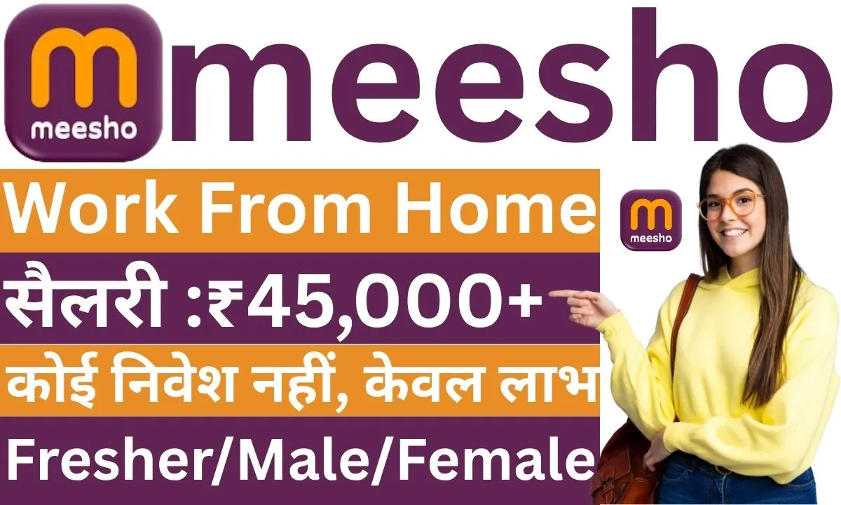 Meesho Work From Home 2025